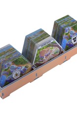 Folded Space Box Insert: Dinosaur World