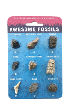 Copernicus Toys Awesome Fossils