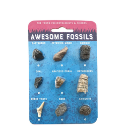 Copernicus Toys Awesome Fossils