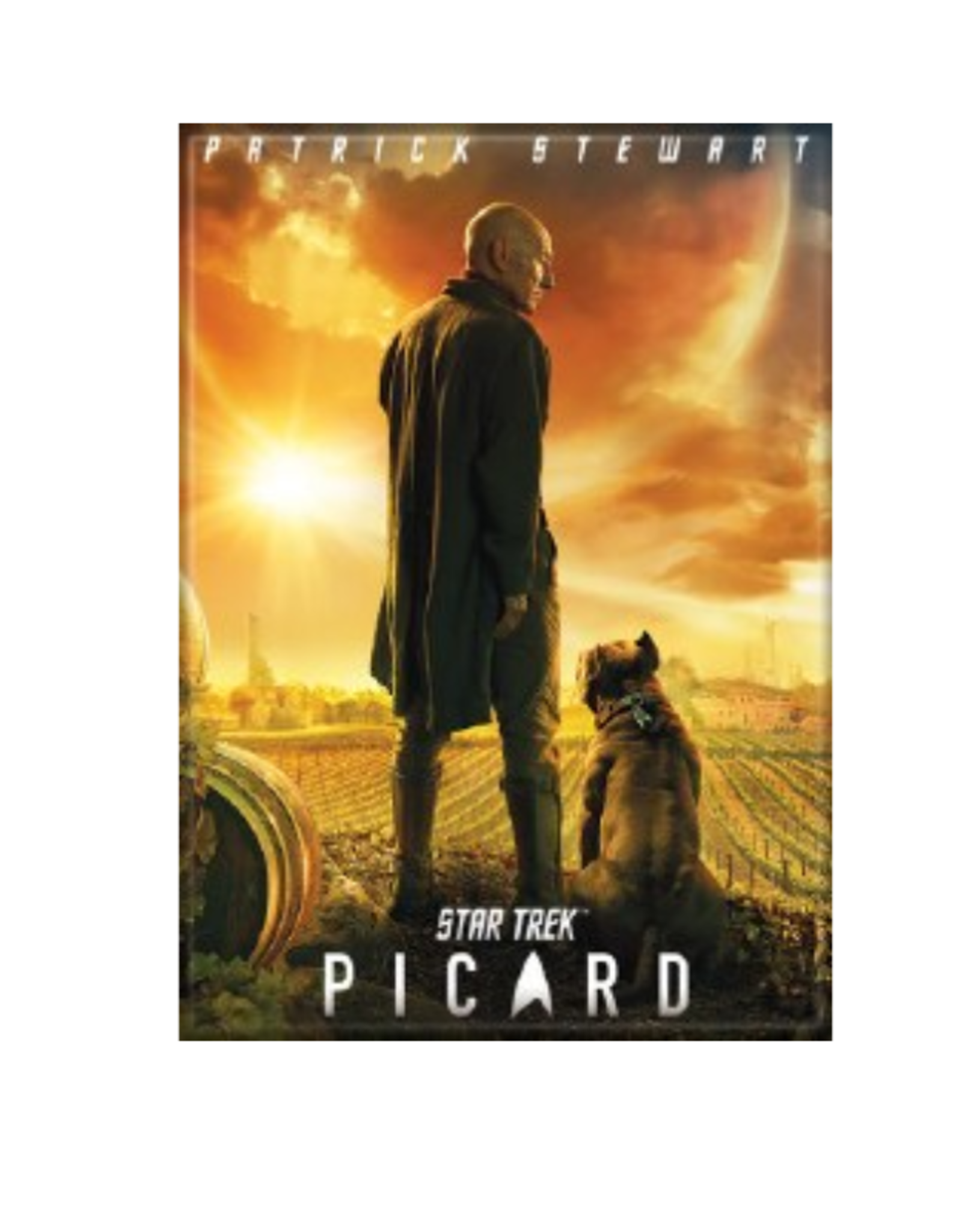 Ata-Boy Picard (Poster with Dog)