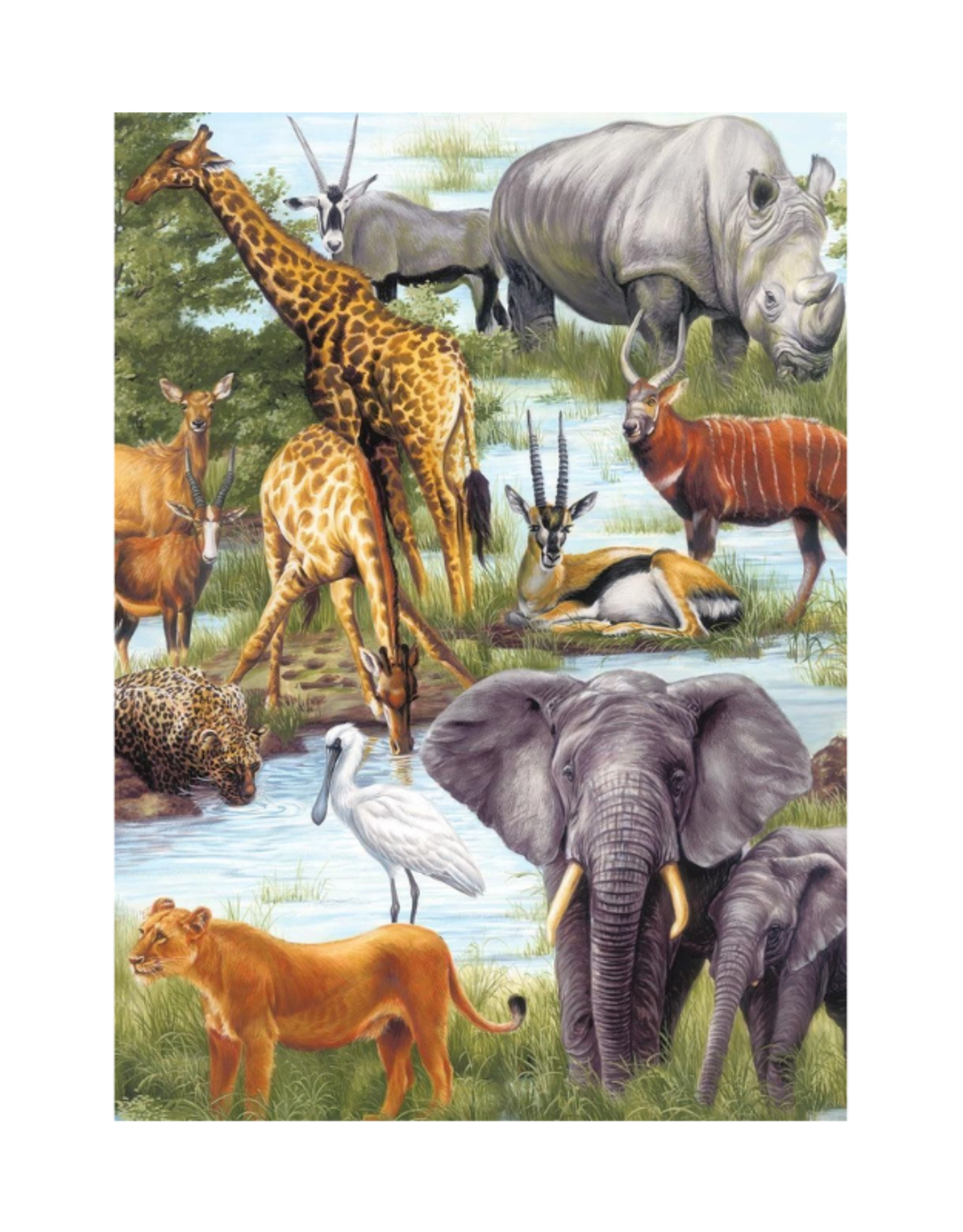 Springbok Animal Kingdom (60pc)
