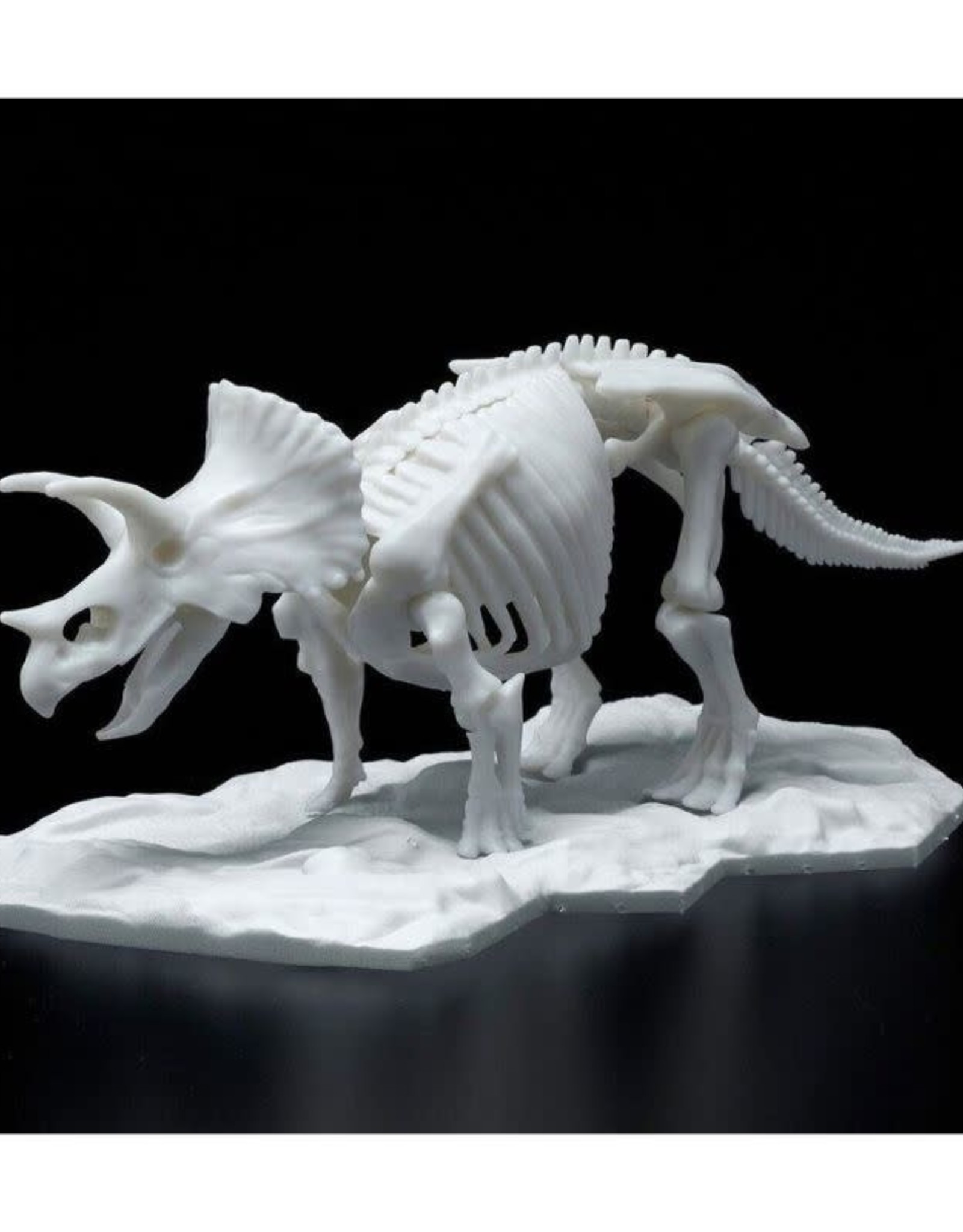 Triceratops LimeX Skeleton