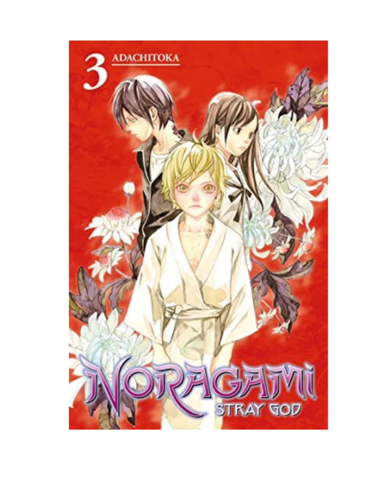 Penguin Random House Noragami: Stray God, Vol. 3