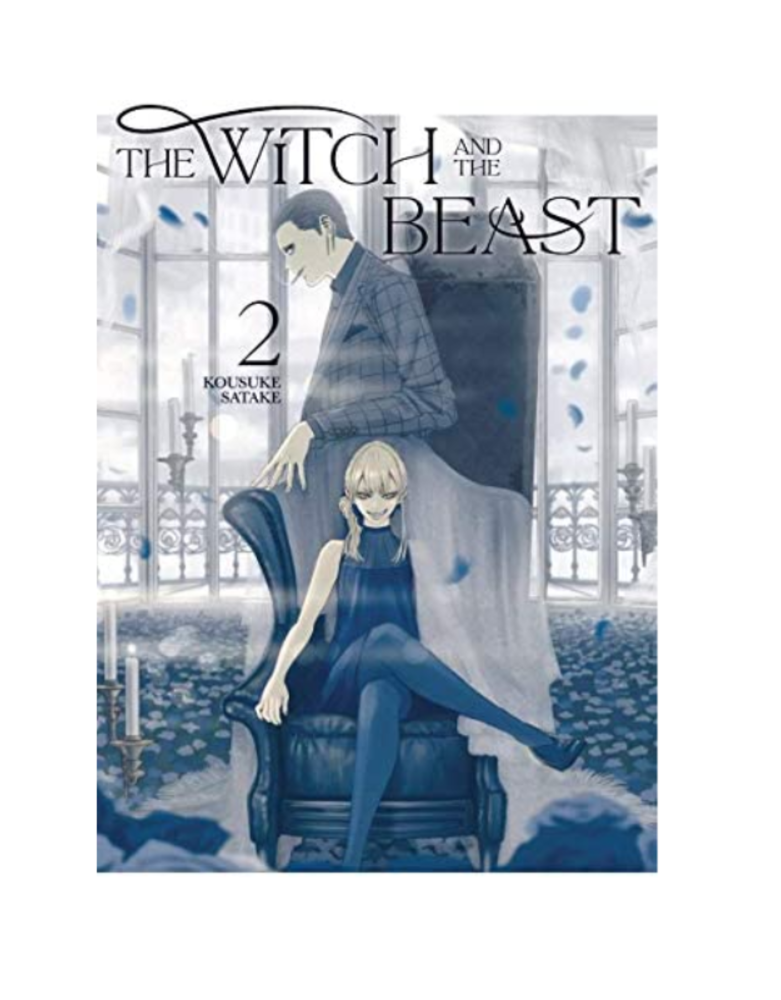Penguin Random House The Witch and the Beast, Vol. 2