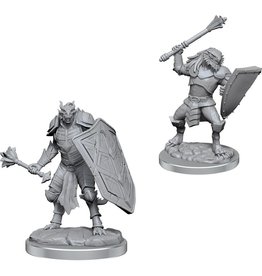 WizKids Dragonborn Clerics