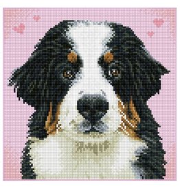 Diamond  Dotz Diamond Art Kit: Say Hello to Zuzu