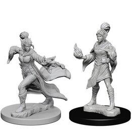 WizKids Elf Female Sorcerer