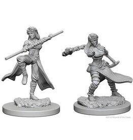 WizKids Human Female Monk