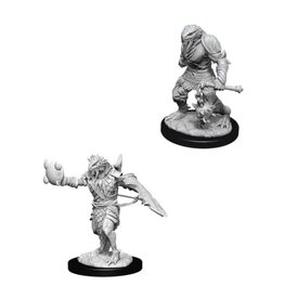 WizKids Male Dragonborn Paladin