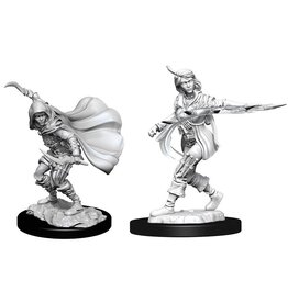 WizKids Human Rogue Female