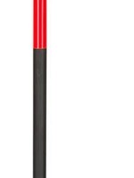 ROSSIGNOL CANADA '21, ROSSIGNOL, Force 9 Pole