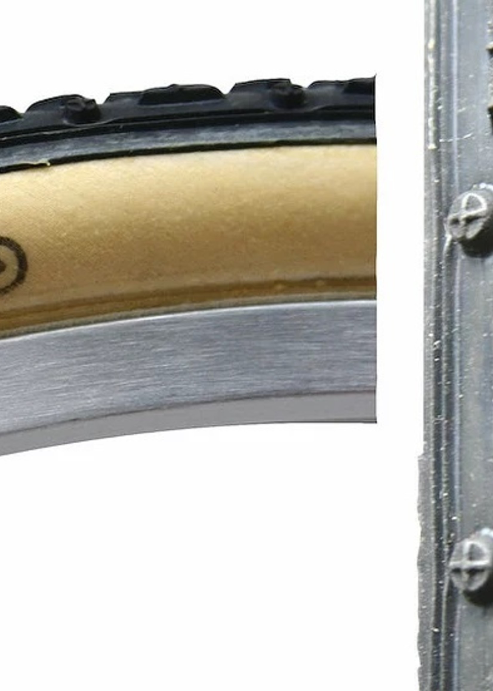 Dugast DUGAST, Typhoon Tire 700 x 33 TLR (Skin)