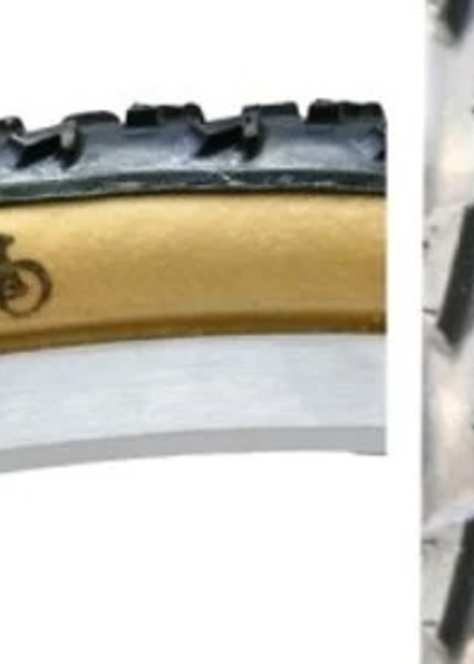 Dugast DUGAST, Rhino Tire 700 x 33 TLR (Skin)