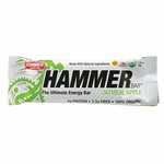Hammer Nutrition HAMMER, Food Bar, Oatmeal Apple, single