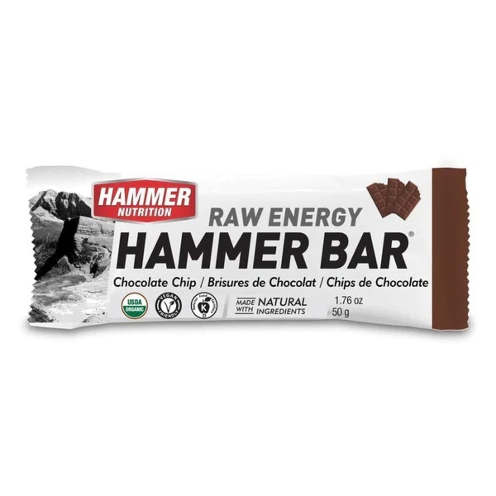 Hammer Nutrition HAMMER,  Food Bar, Chocolate Chip,  single