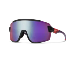 スキー・スノーボードアクセサリー SMITH WILD CAT Wildcat | Sunglass