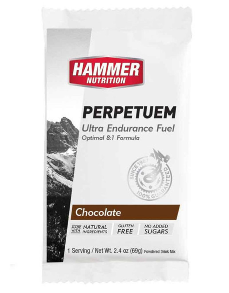 Hammer Nutrition Hammer Perpetuem 1 serving