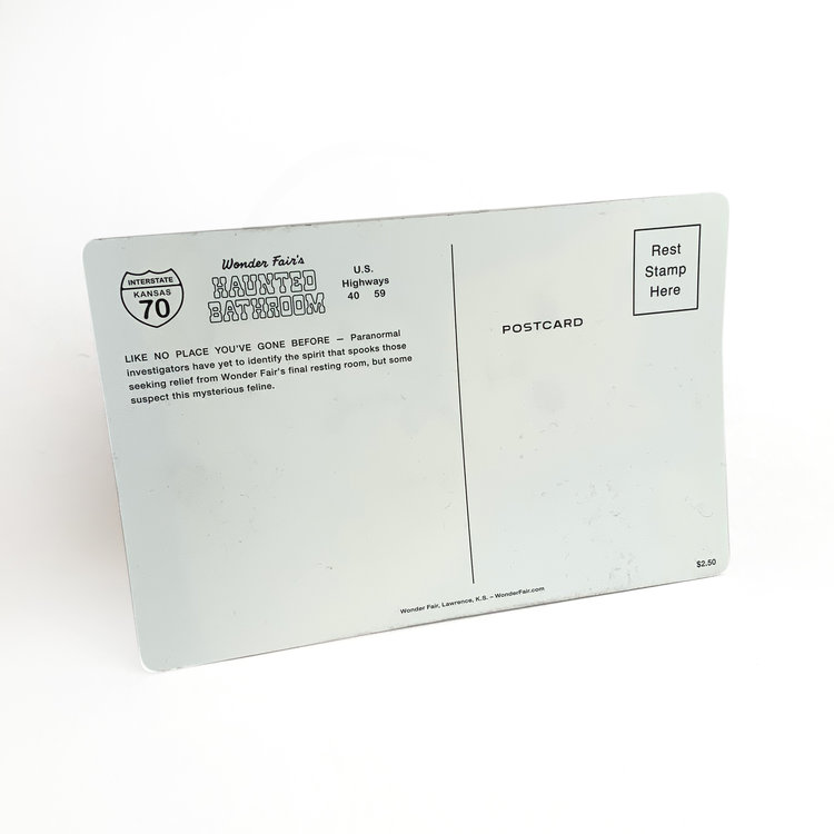 Wonder Fair Haunted Bathroom Lenticular Cat Postcard