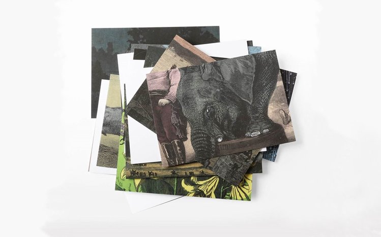 The School of Life Untranslatable Words