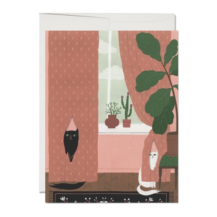 Red Cap Cards Cat Crimes card