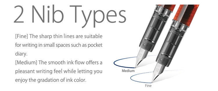 Platinum Prefounte Fountain Pen