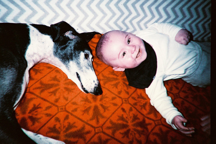 Lomography Simple Use Camera Lomo'Chrome Purple