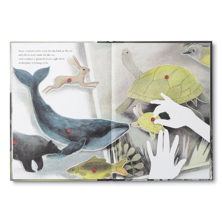 Compendium You Belong Here by M.H. Clark