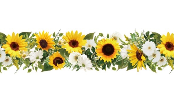 MT Washi Tape - Pastel Sunflower