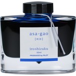 Fountain Pen Inks and Accessories