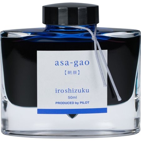 Fountain Pen Inks and Accessories