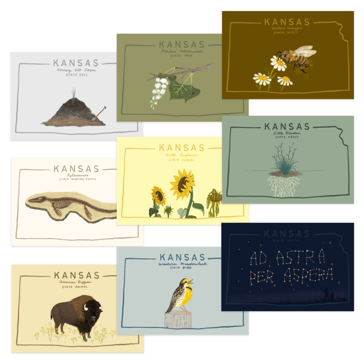 Wonder Fair Kansas Postcard Series (Set of 9)
