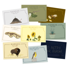 Wonder Fair Kansas Postcard Series (Set of 9)