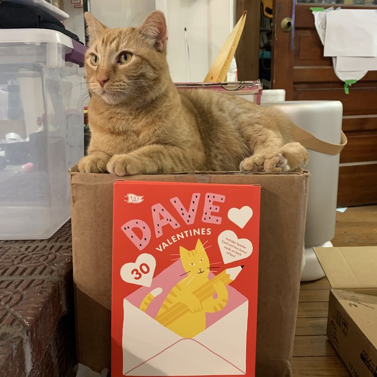 Wonder Fair Dave Valentines Box