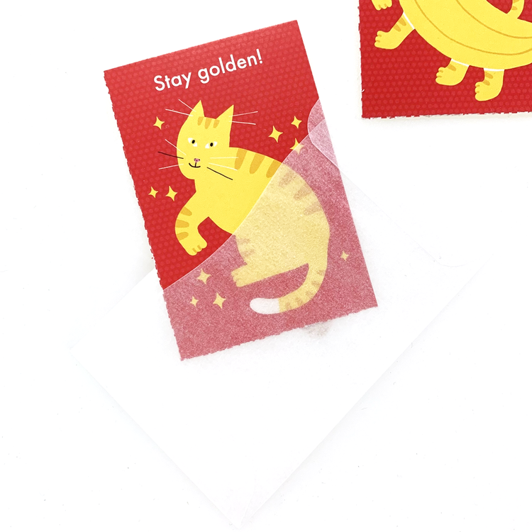 Wonder Fair Dave Valentines Box