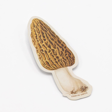Cognitive Surplus Morel Mushroom Sticker *not recommended for water bottles