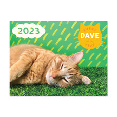 Wonder Fair 2023 Every Dave of the Year Calendar