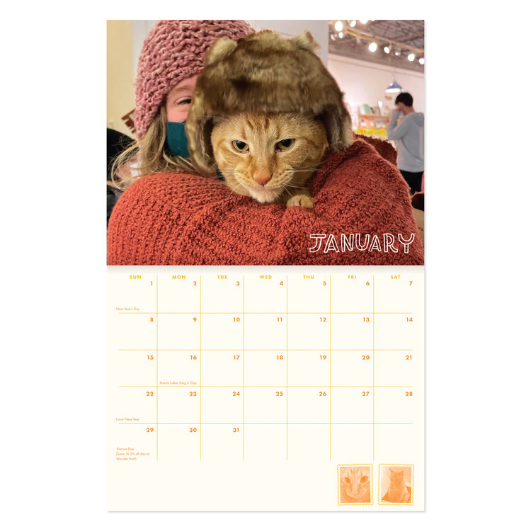 Wonder Fair 2023 Every Dave of the Year Calendar