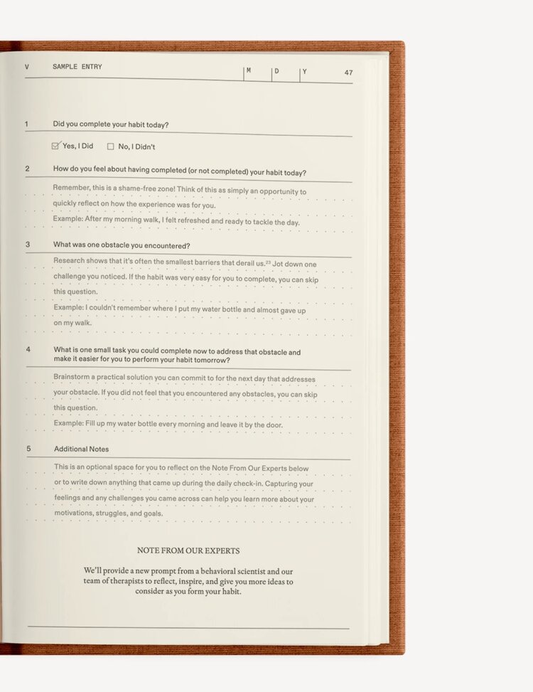 Therapy Notebooks The Build-a-Habit Guide