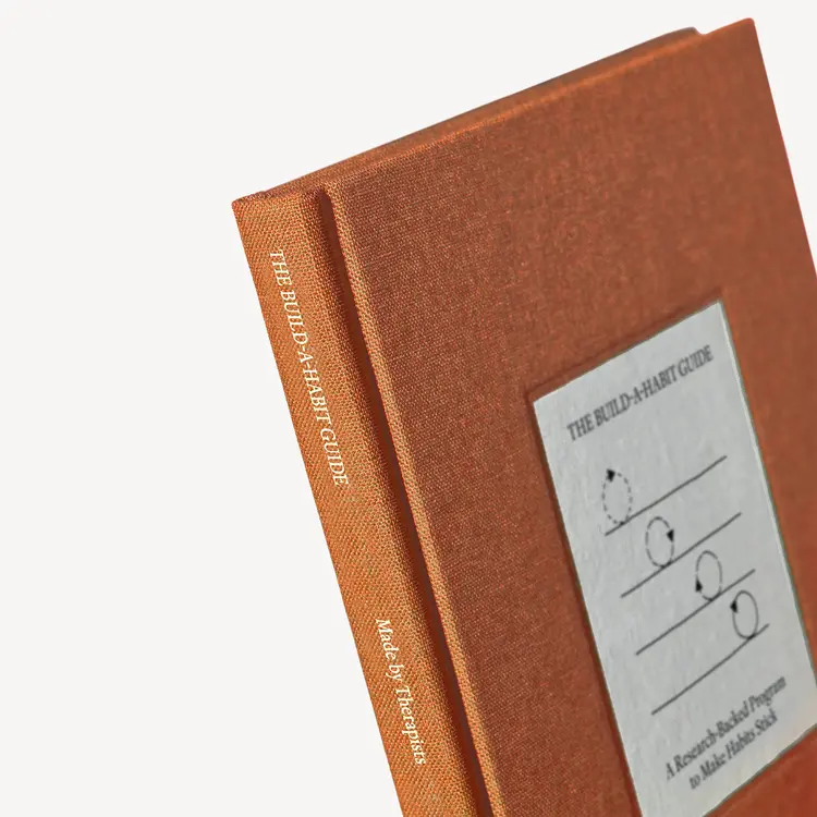 Therapy Notebooks The Build-a-Habit Guide