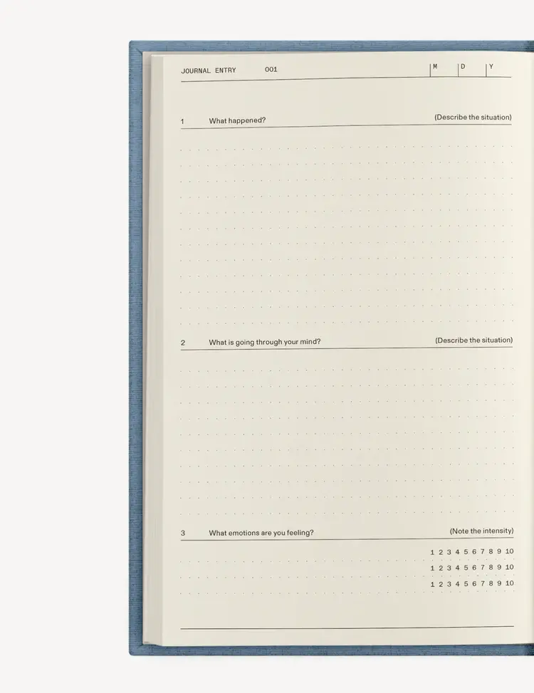 Therapy Notebooks The Anti-Anxiety Notebook