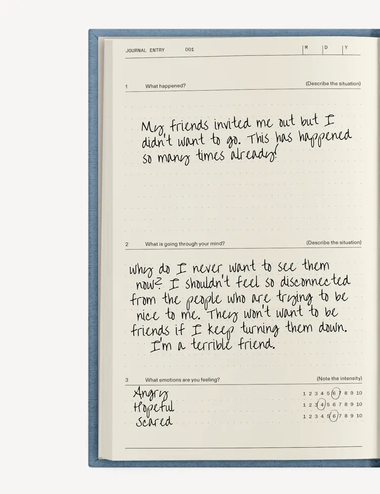 Therapy Notebooks The Anti-Anxiety Notebook