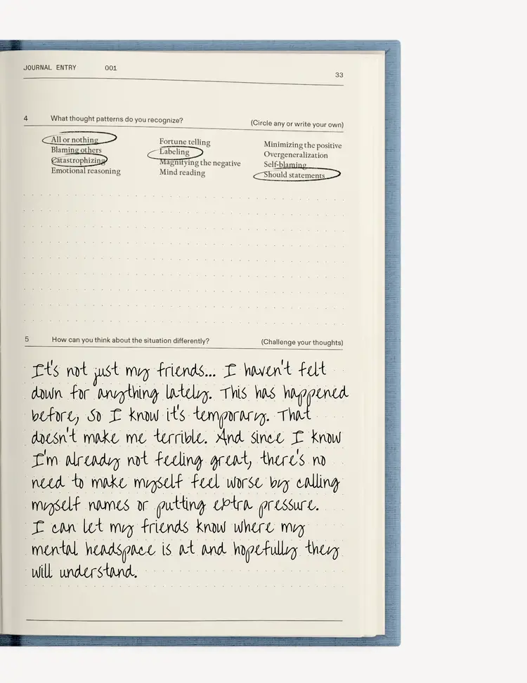 Therapy Notebooks The Anti-Anxiety Notebook