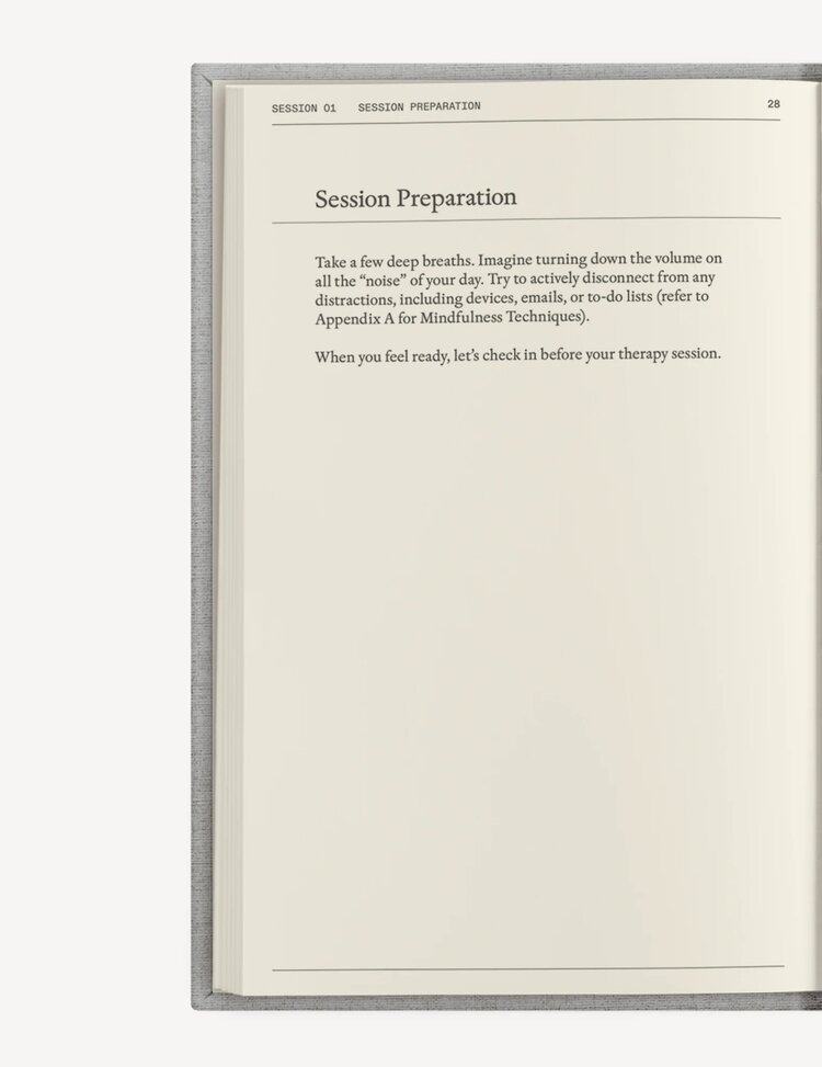 Therapy Notebooks The Therapy Journal Notebook