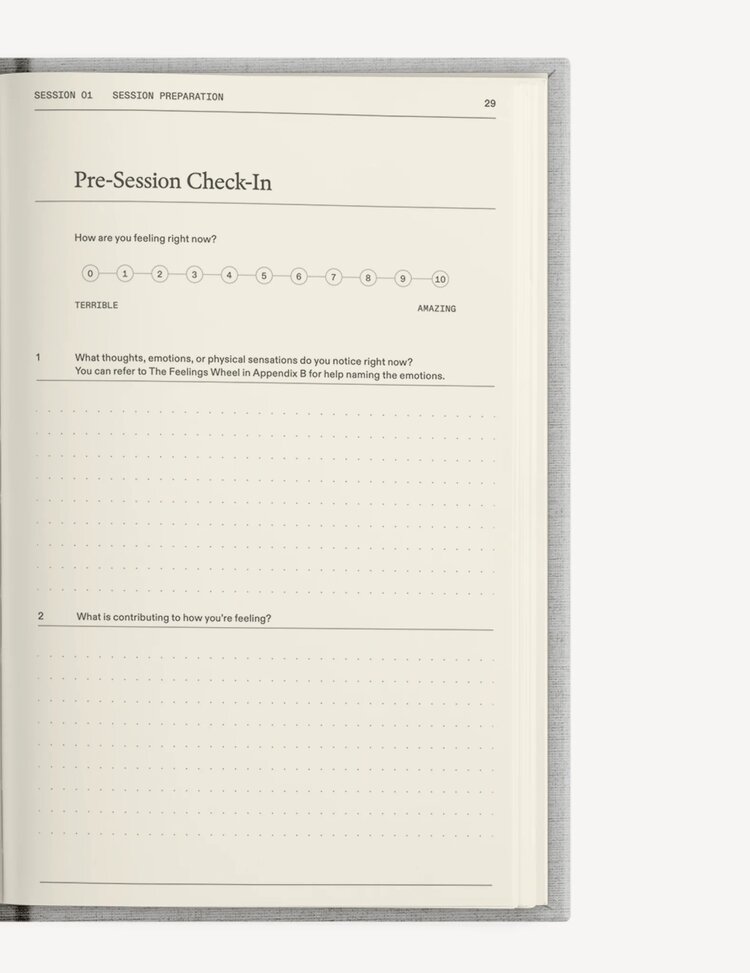 Therapy Notebooks The Therapy Journal Notebook