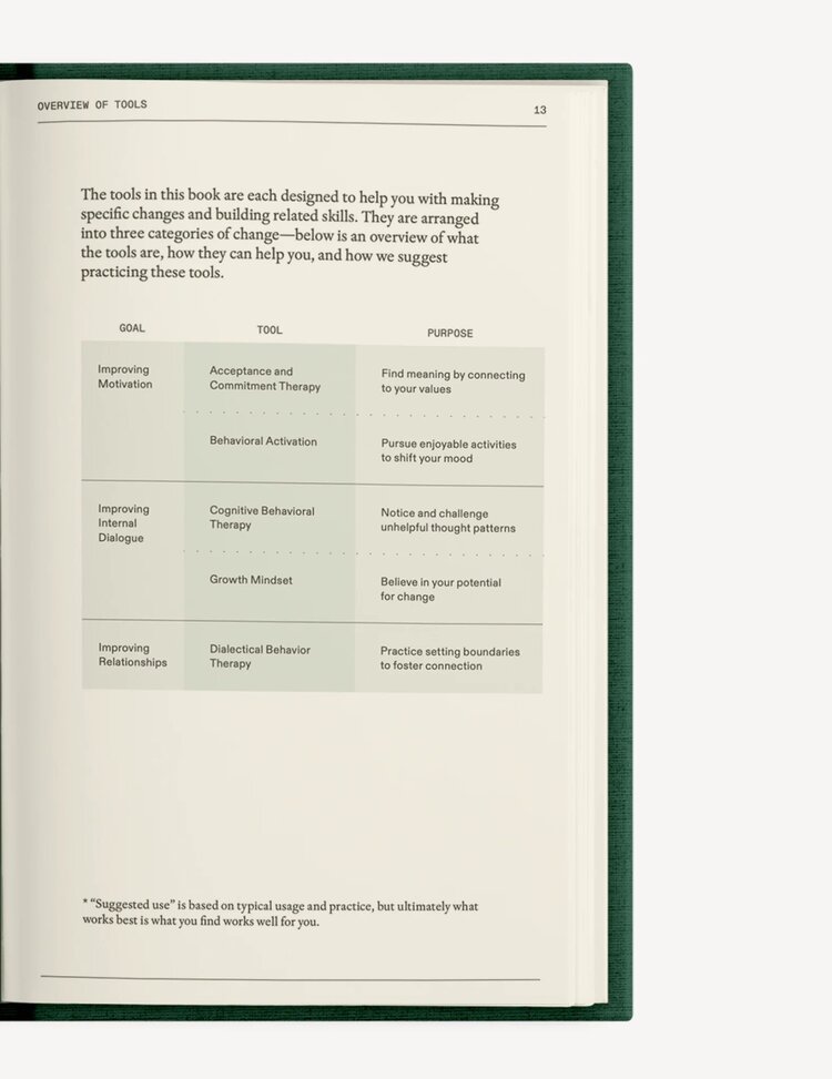Therapy Notebooks The Field Guide for Depression Notebook