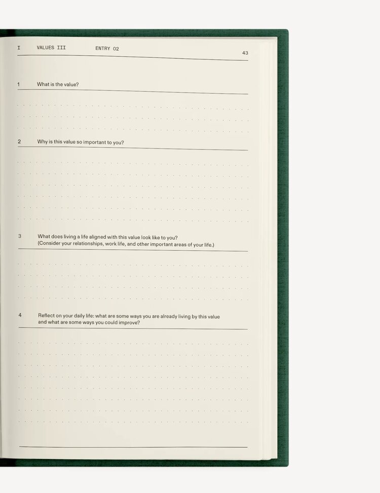 Therapy Notebooks The Field Guide for Depression Notebook