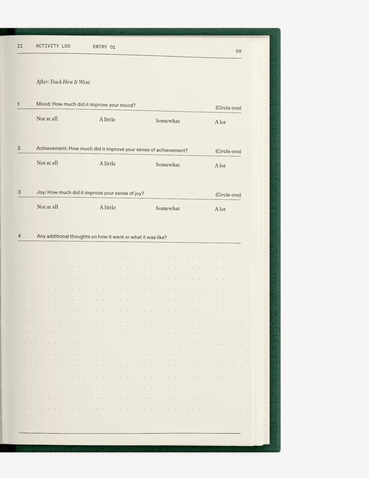 Therapy Notebooks The Field Guide for Depression Notebook