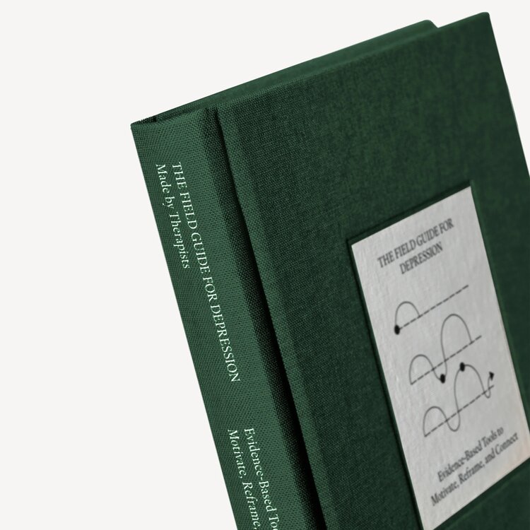 Therapy Notebooks The Field Guide for Depression Notebook