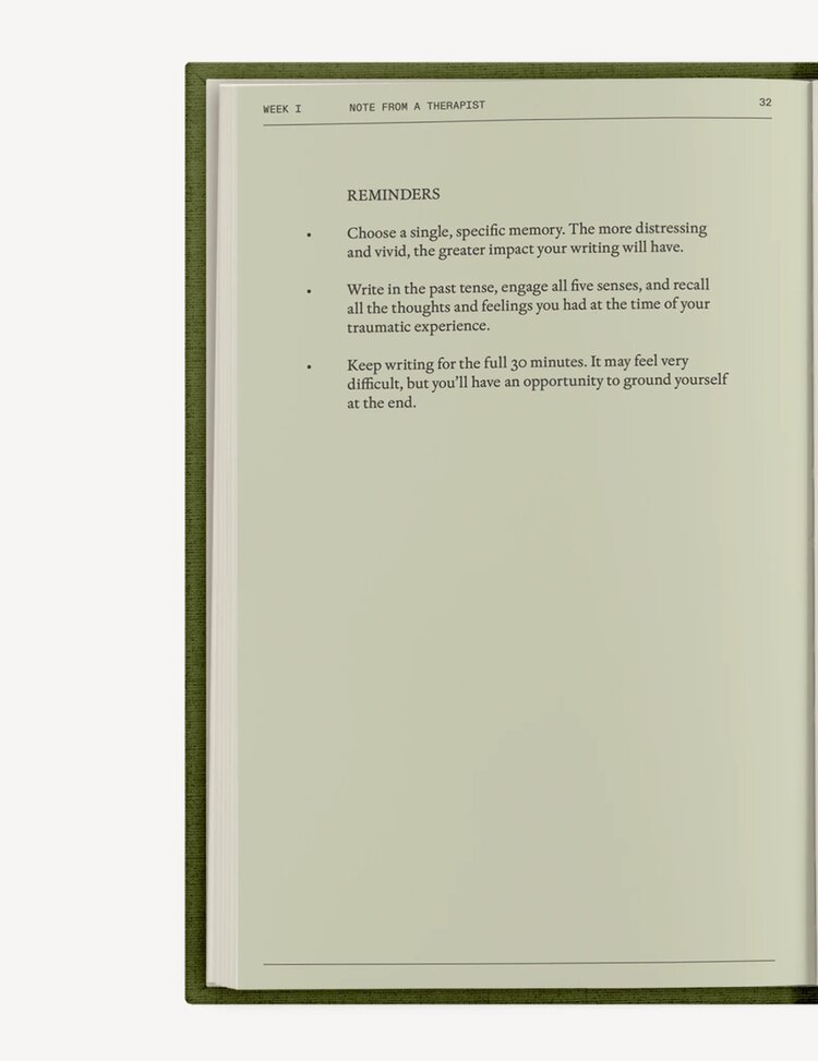 Therapy Notebooks The After-Trauma Notebook