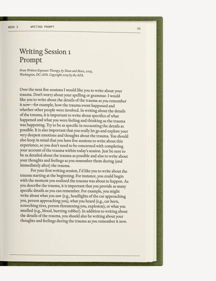 Therapy Notebooks The After-Trauma Notebook